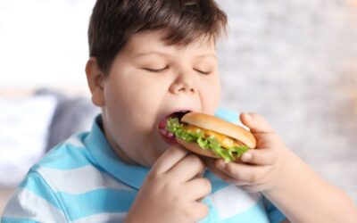 Cómo la Alimentación Puede Provocar la Obesidad en Niños